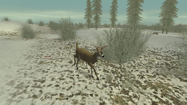 Hunting Unlimited 2 5