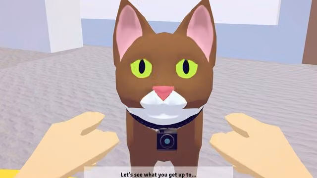 Point of Mew 1