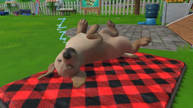 Little Friends: Puppy Island 4