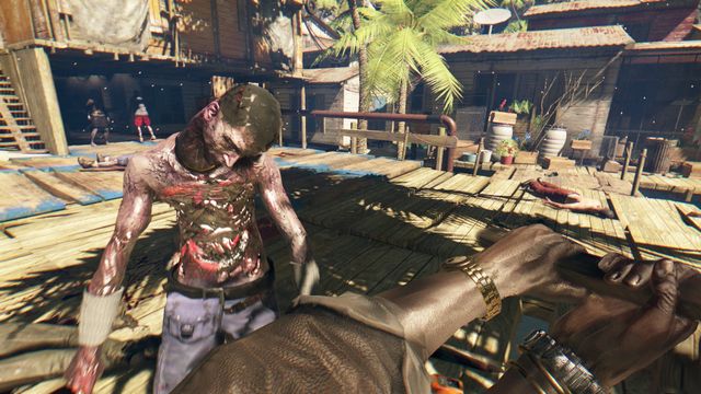 Dead Island: Riptide - Definitive Edition 6