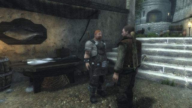 Risen 4