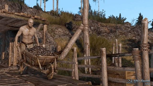 Life Is Feudal: MMO 3
