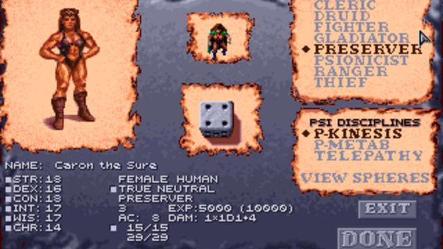Dark Sun: Shattered Lands 3