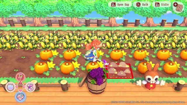 Pretty Princess: Magical Garden Island 3