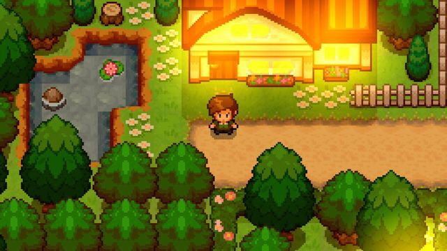 Pokémon Uranium 6