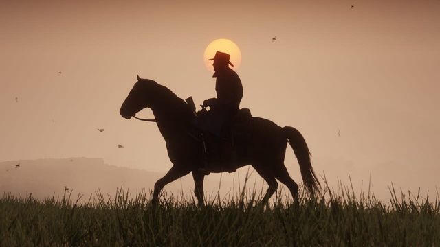 Red Dead Redemption 2 6