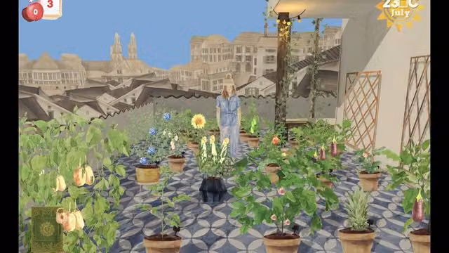 Pocket Oasis 2