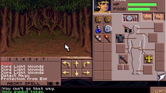 Eye of the Beholder III: Assault on Myth Drannor 3