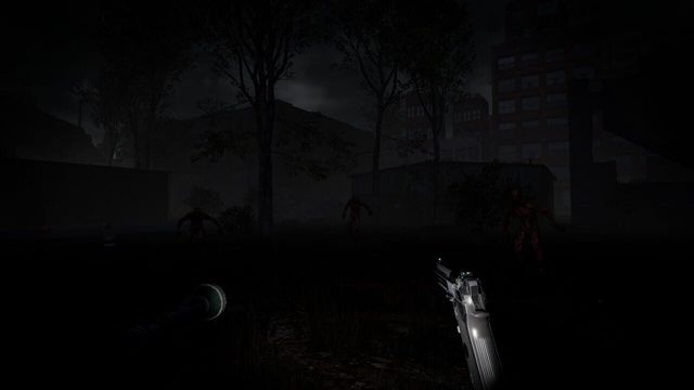 The Brookhaven Experiment 5
