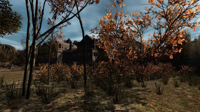 Pineview Drive 2