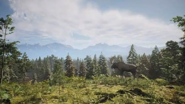 Project Hunt 5