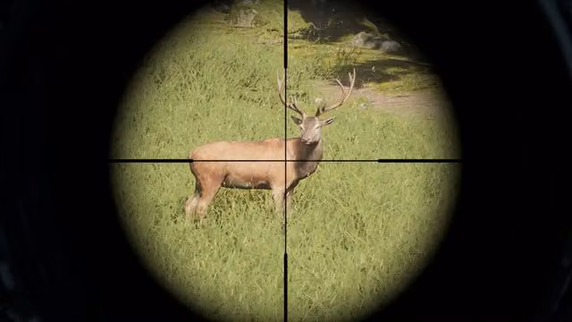 Project Hunt 6