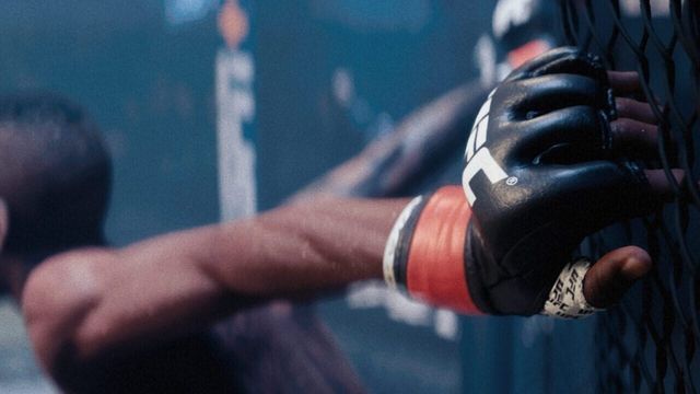 EA Sports UFC 5 2