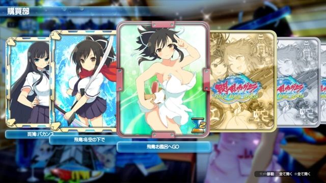 Senran Kagura: Peach Beach Splash 3
