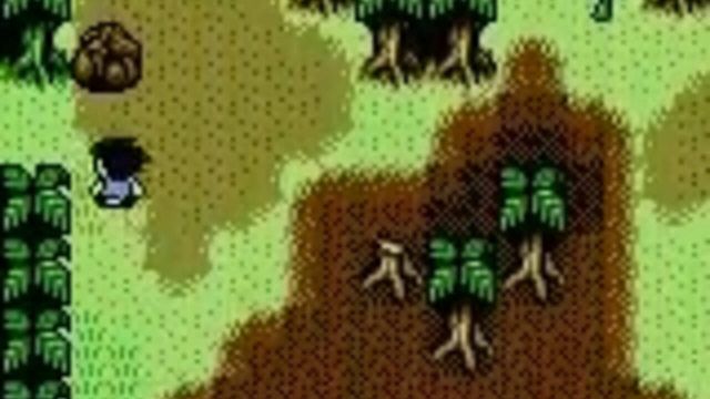 Survival Kids 4
