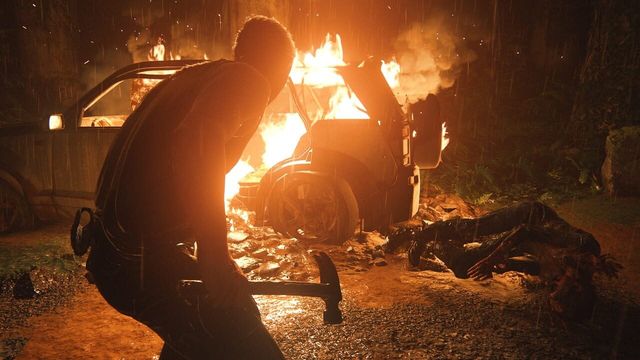 The Last of Us Part II 5