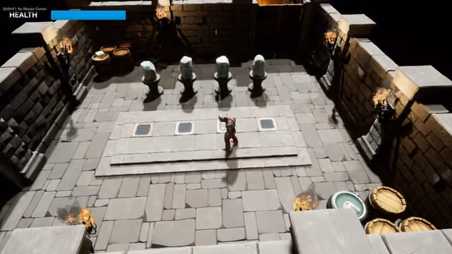 Rhino Puzzle 3