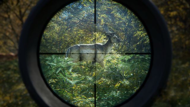 TheHunter: Call of the Wild 3