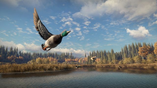 TheHunter: Call of the Wild 4
