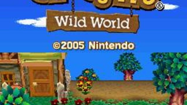 Animal Crossing: Wild World 3
