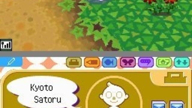 Animal Crossing: Wild World 5
