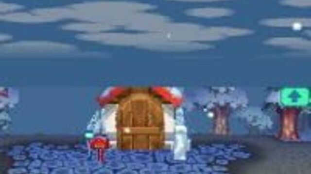 Animal Crossing: Wild World 6