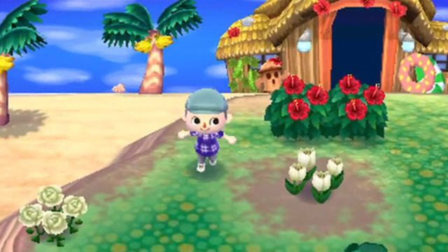 Animal Crossing: New Leaf 2