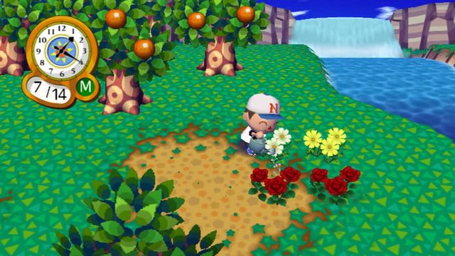 Animal Crossing: City Folk 6