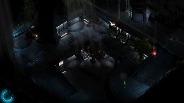 Cayne 4