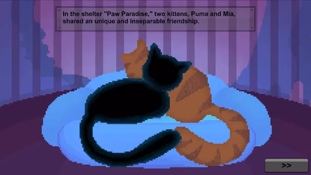 Puma: The Cat 3