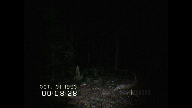 Don't Scream 4