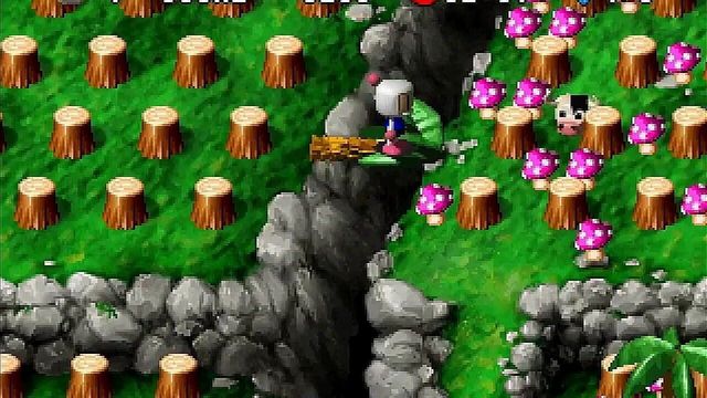 Bomberman World 4