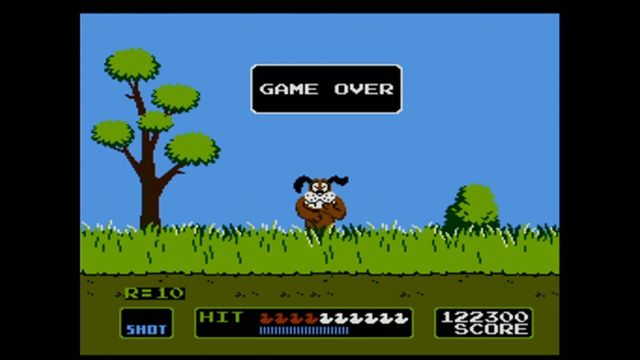 Duck Hunt 5