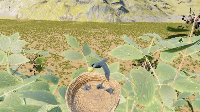 Raven Simulator 3