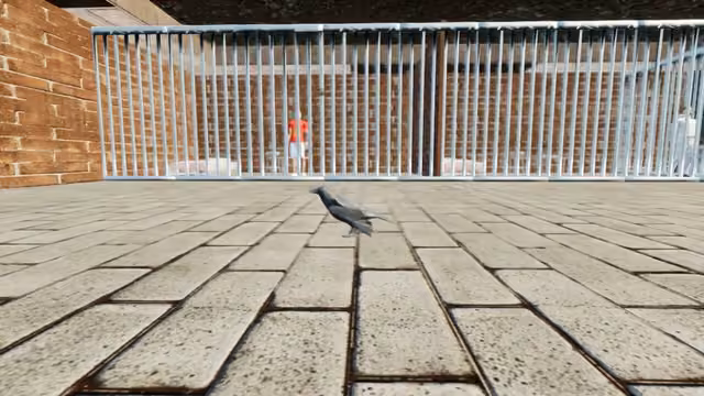 Raven Simulator 4