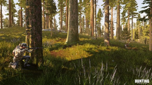 Hunting Simulator 3