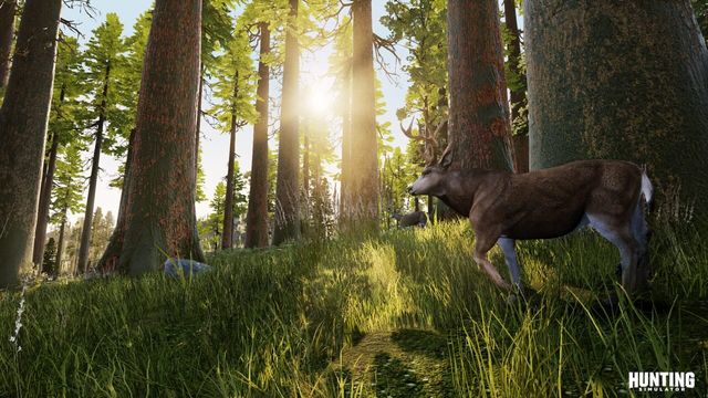 Hunting Simulator 4