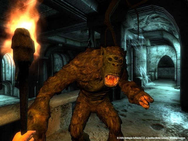 The Elder Scrolls IV: Oblivion - Game of the Year Edition Deluxe 6