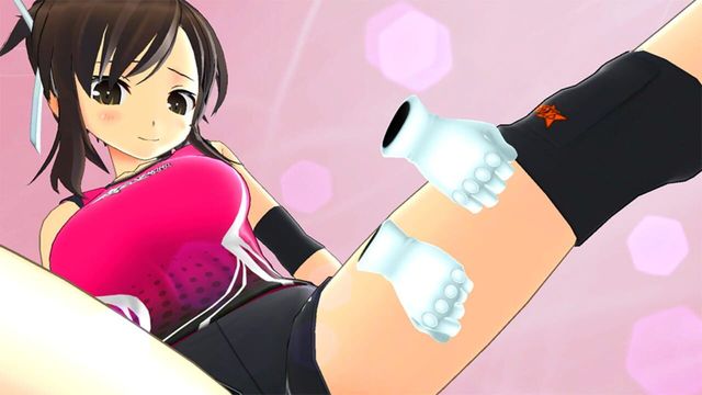Senran Kagura Reflexions 3