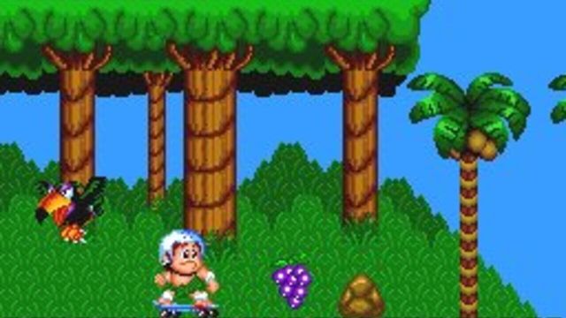 New Adventure Island 2