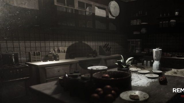 Remothered: Tormented Fathers 4
