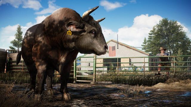 Far Cry 5 3