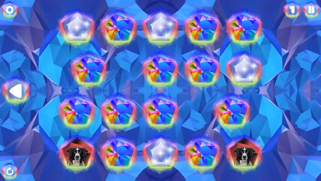 Poly Memory: Dogs 5