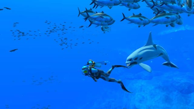 Endless Ocean: Luminous 2