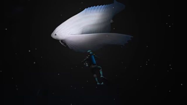 Endless Ocean: Luminous 4