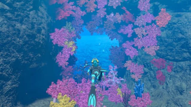 Endless Ocean: Luminous 5