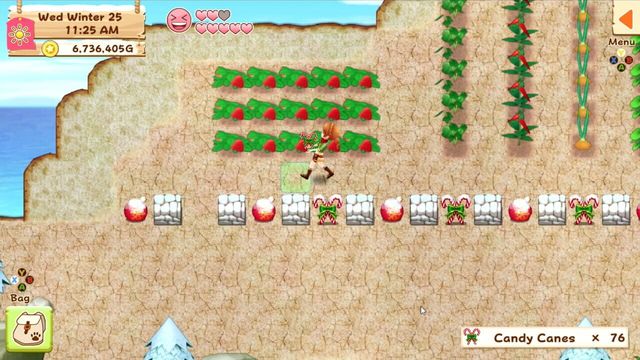Harvest Moon: Light of Hope 2