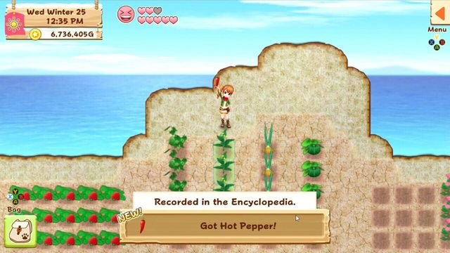 Harvest Moon: Light of Hope 4