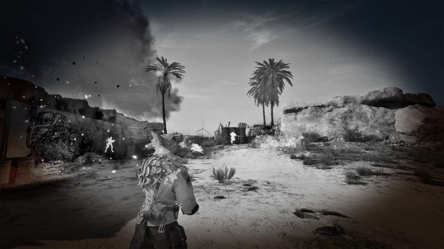 Wild Assault 4
