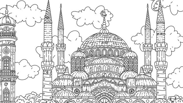 100 Istanbul Cats 6